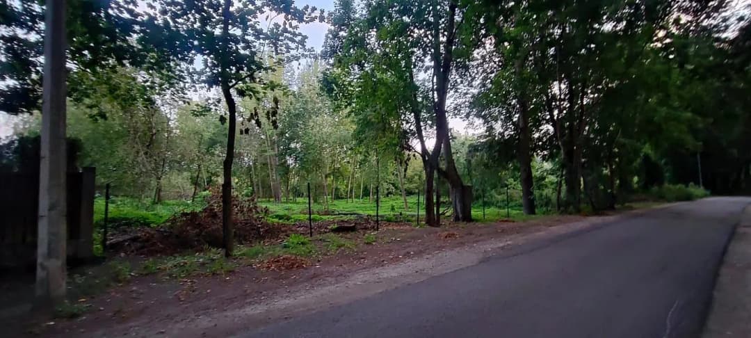 Mežaparks, Rīga — bilde 2