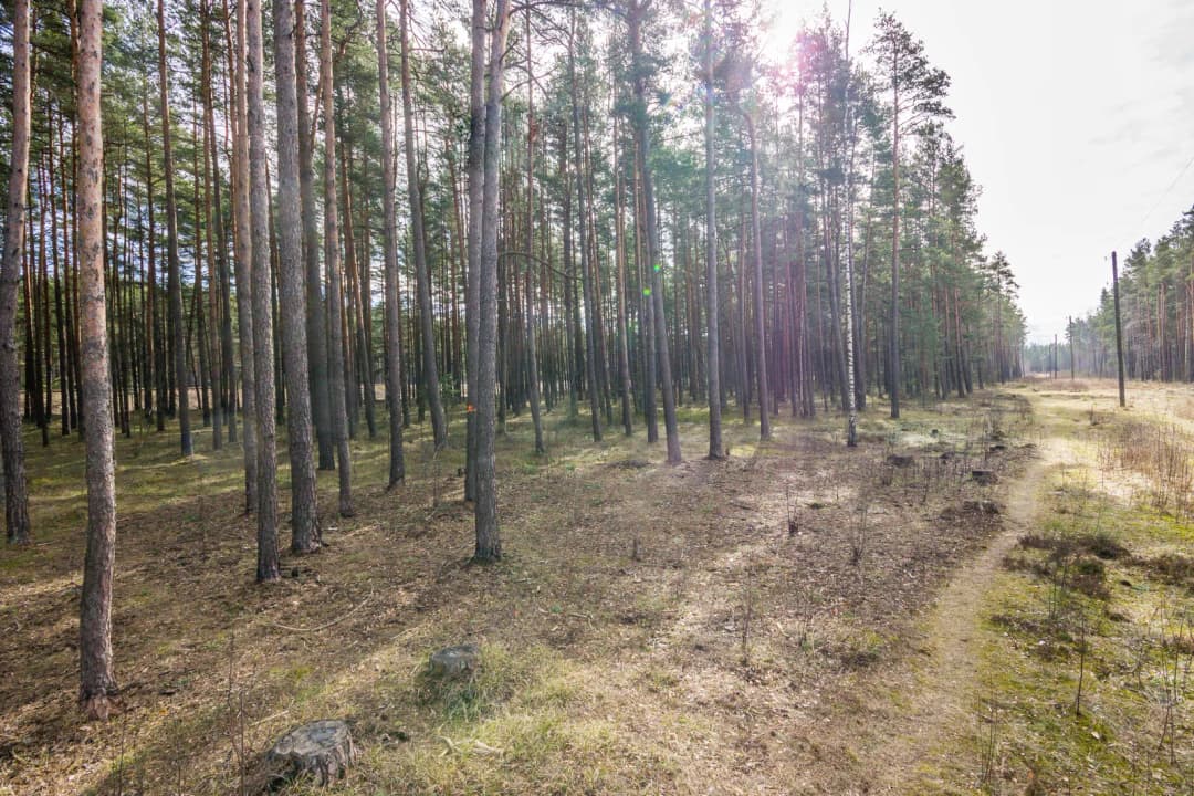 Vecāķu prospekts, Vecāķi, Rīga — bilde 4