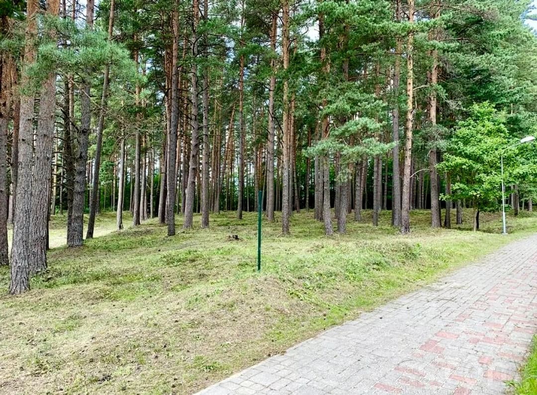 Zeme — Rīga (Berģi) — bilde 2
