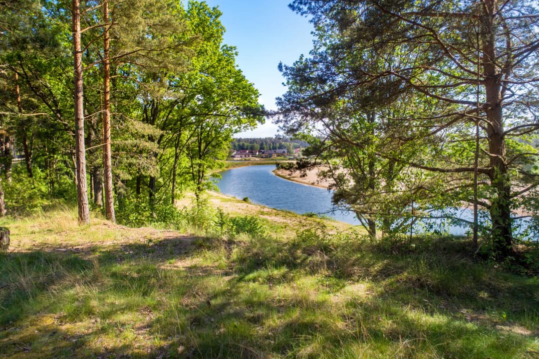 Zābaku iela, Ādažu pagasts, Ādažu novads — bilde 2