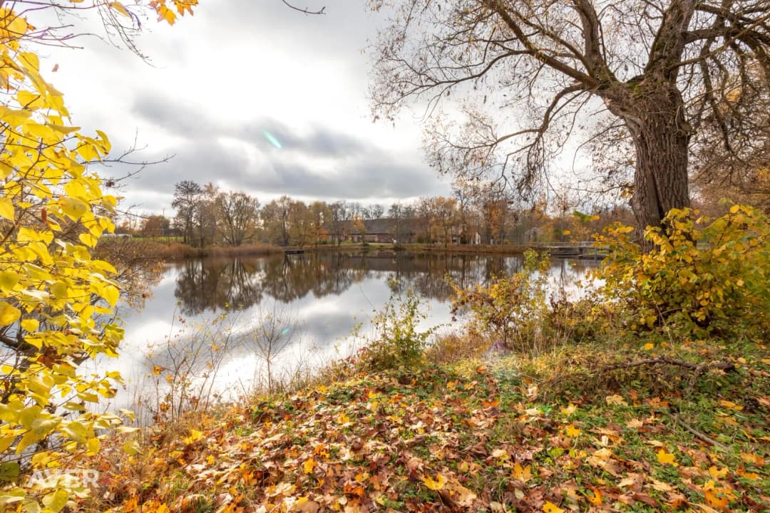 Dzīvoklis — Saldus nov.