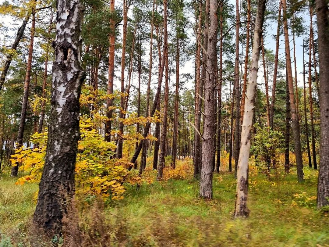 Vecāķi, Rīga — bilde 3