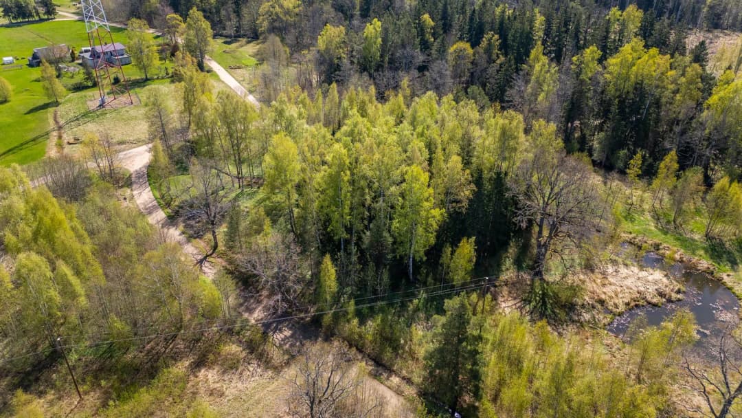 Saules iela, Liepupes pagasts, Limbažu novads — bilde 4