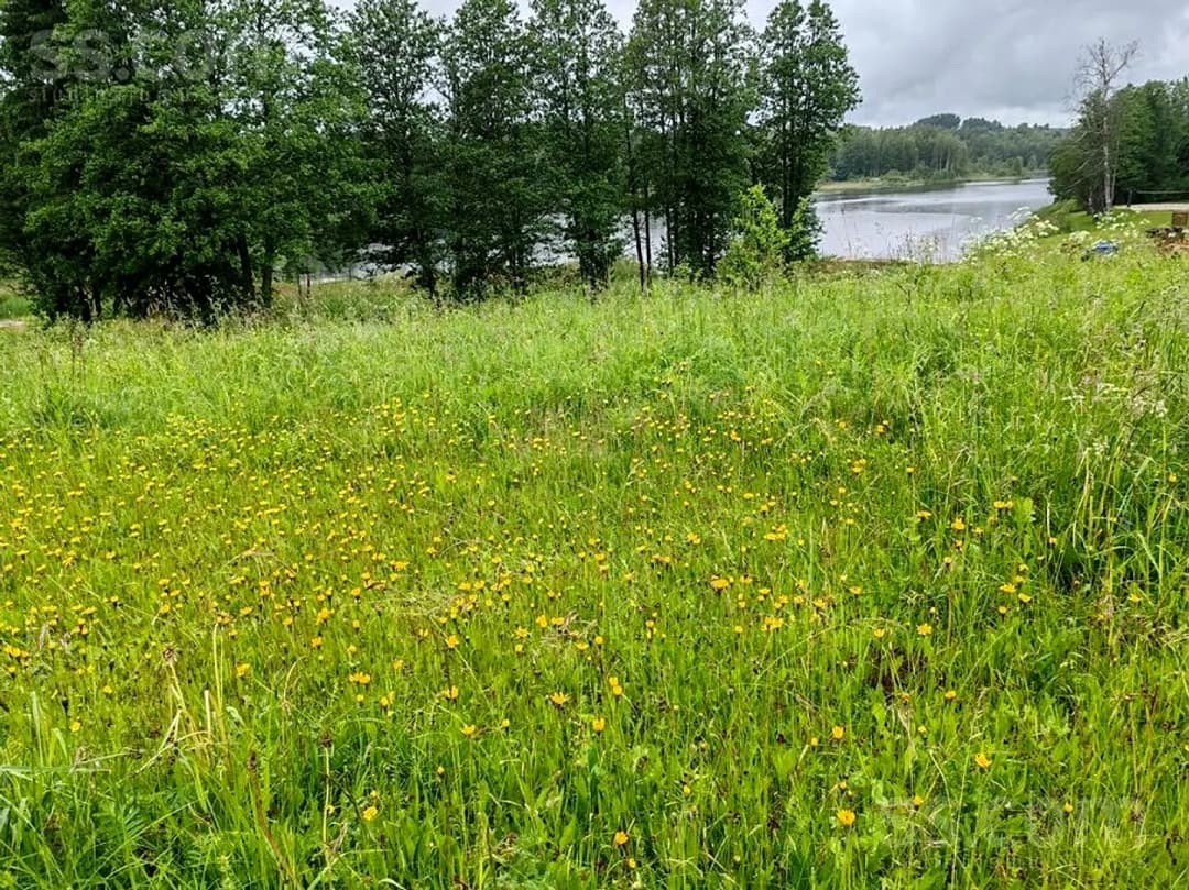 Māja — Ezera — vēl bildes
