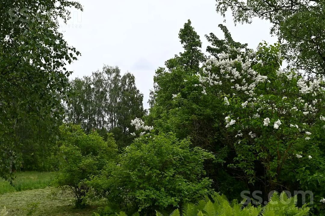 Māja — Jaunatnes 18 — bilde 4