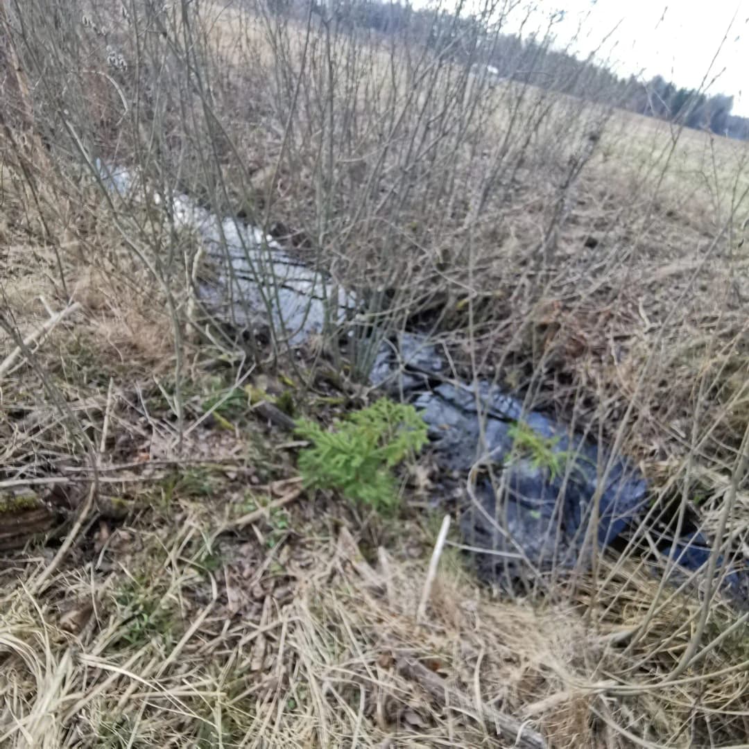 Griķi, Inčukalna pagasts — vēl bildes
