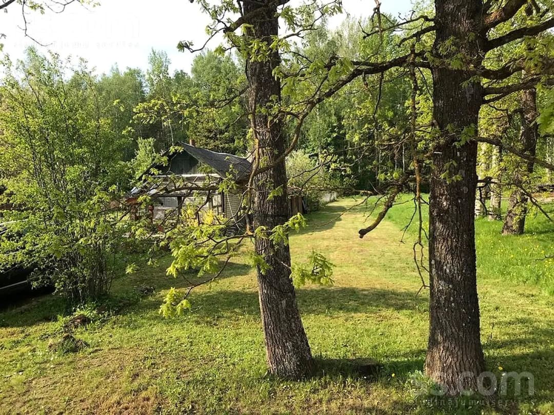 Māja — Blaumaņa 53 — bilde 4