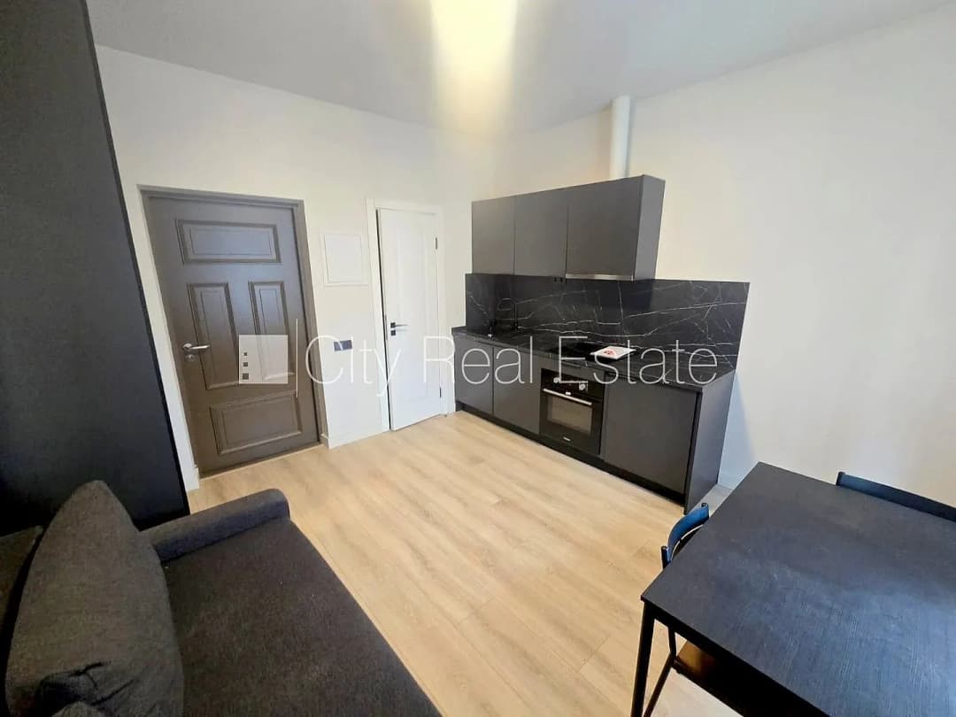 Krišjāņa Barona iela, Centrs