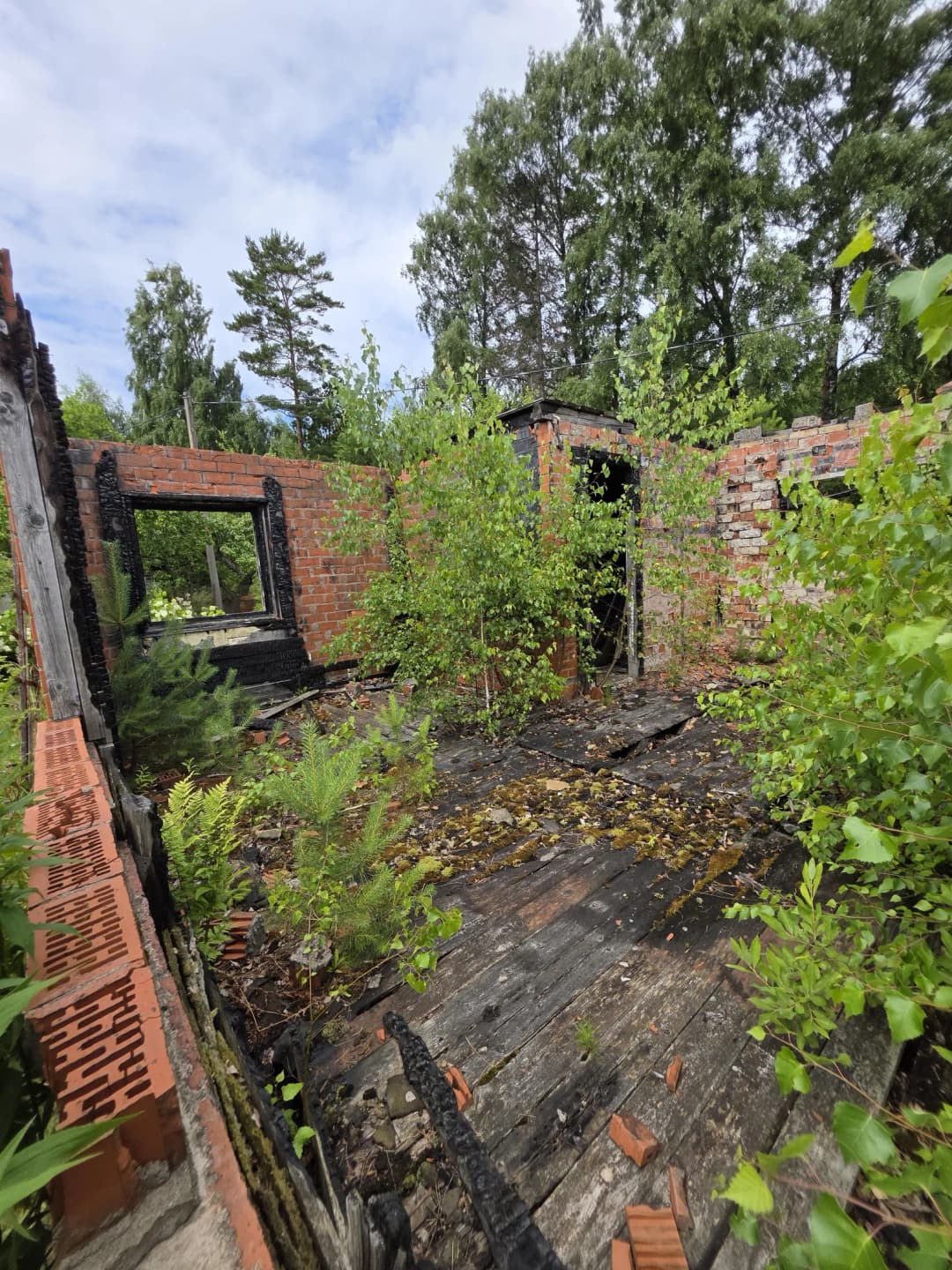 Dobeles iela, Saulkrastu pagasts, Saulkrastu novads — bilde 4