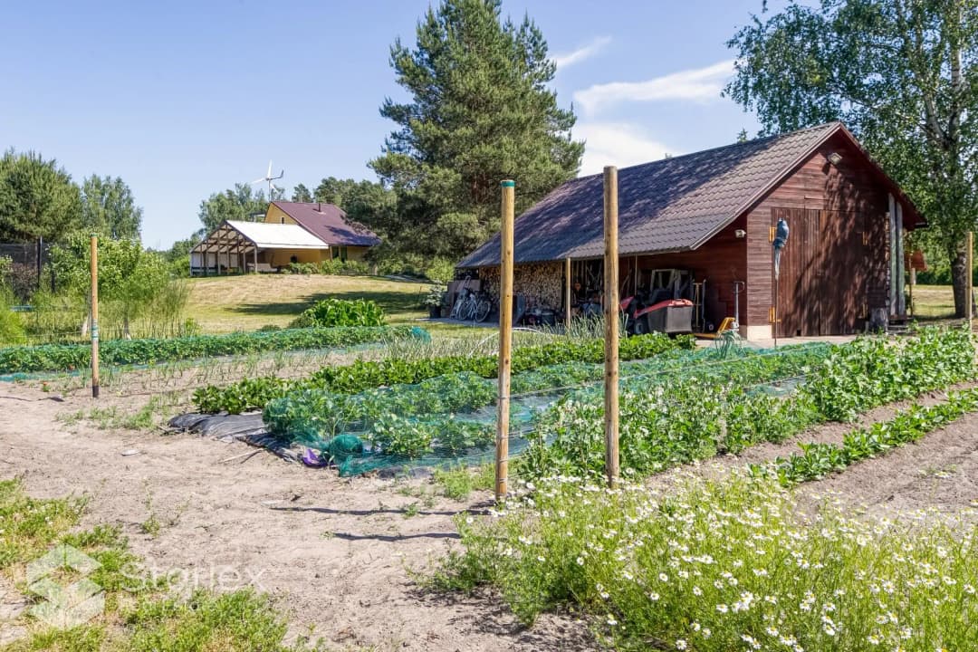 Vīnogas , Salgales pag., Jelgava — bilde 3