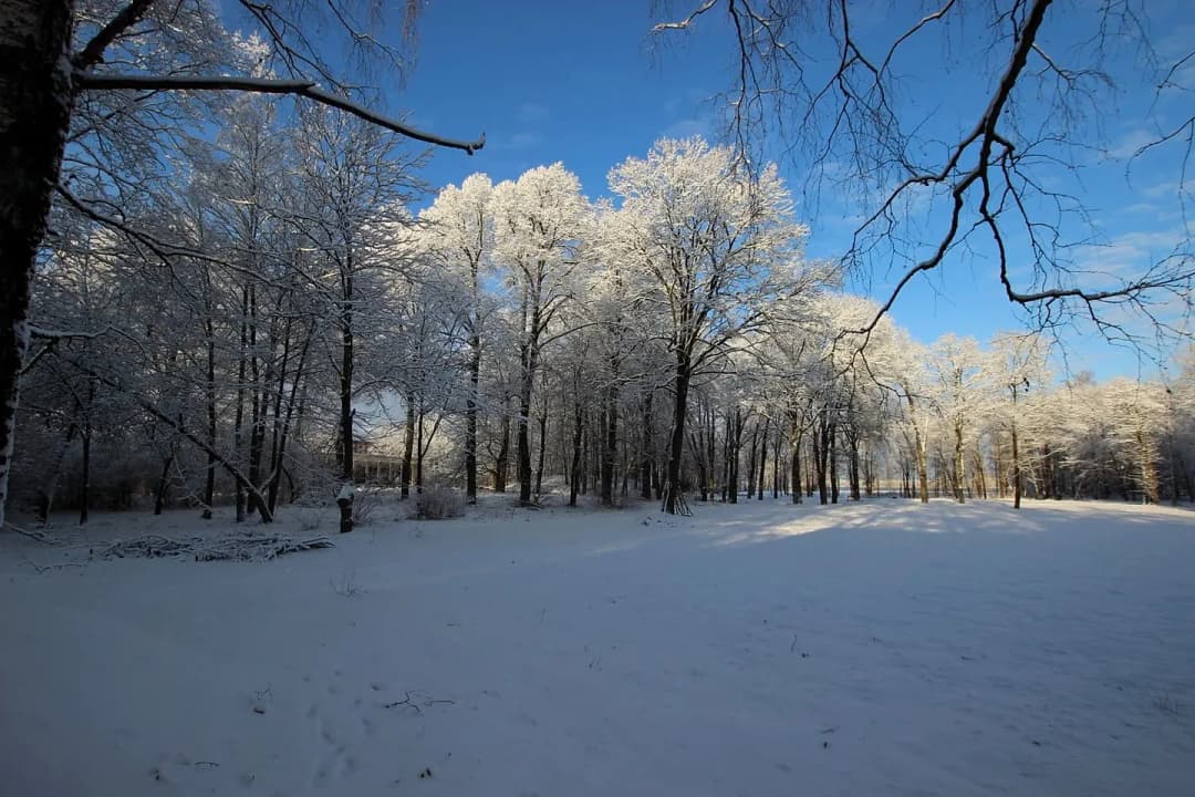Zeme, 3094㎡ - Rīga, Čiekurkalns — bilde 2