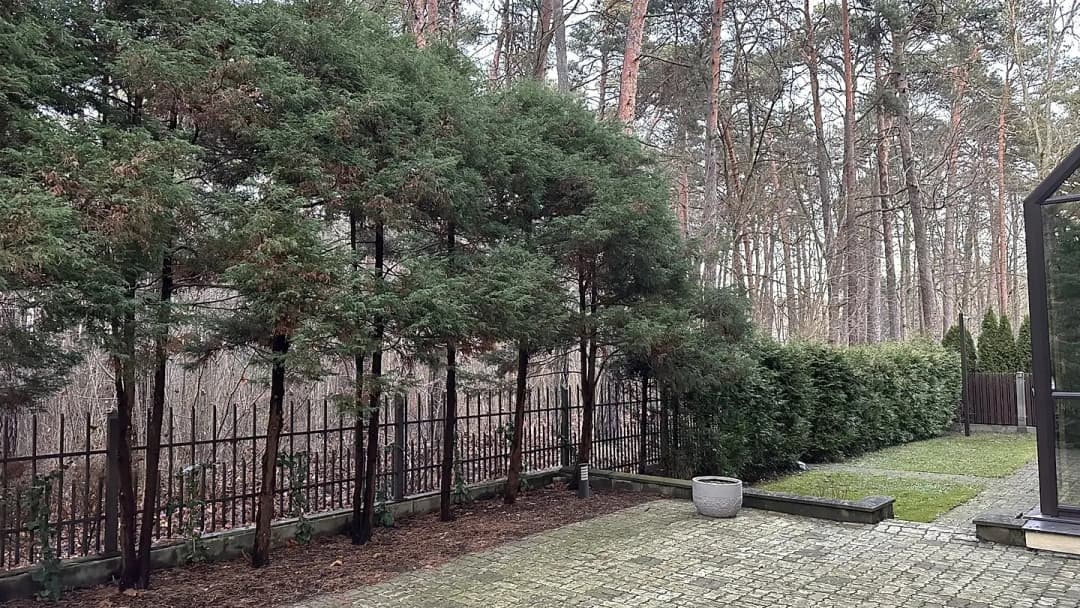 6-ist. Māja, 500㎡ - Jūrmala, Lielupe — vēl bildes