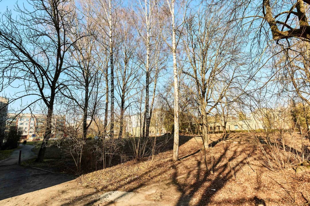 Zalves iela, Šampēteris, Rīga — bilde 2