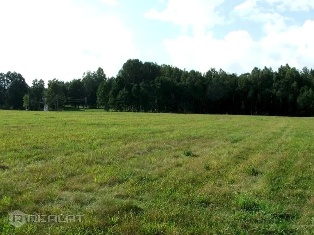 Zeme, 64000.00㎡ - Talsu novads, Laidzes pagasts — bilde 2