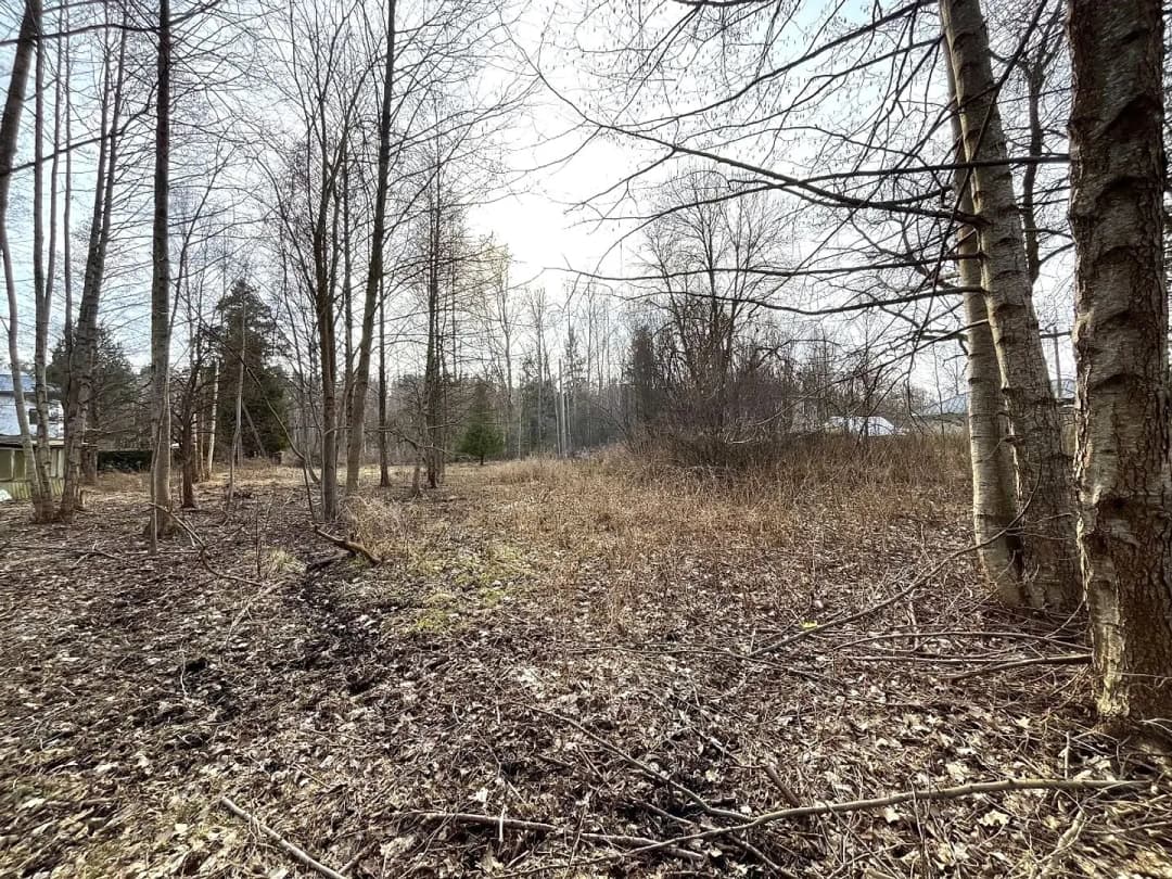 Zeme, 4388㎡ - Rīga, Mūkupurvs — bilde 2