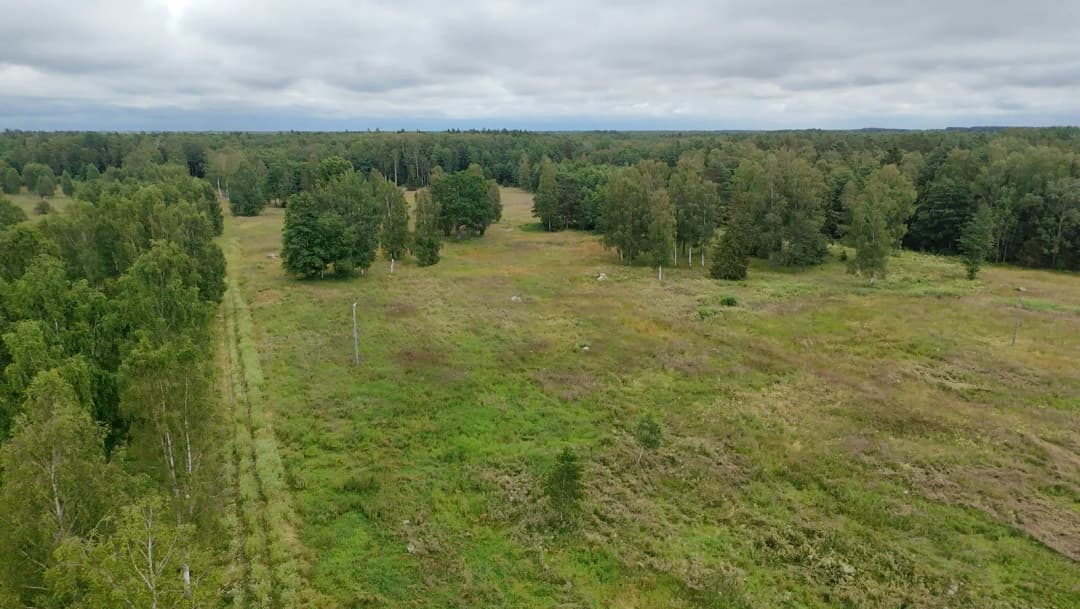 Liepupes pagasts, Limbažu novads — bilde 4