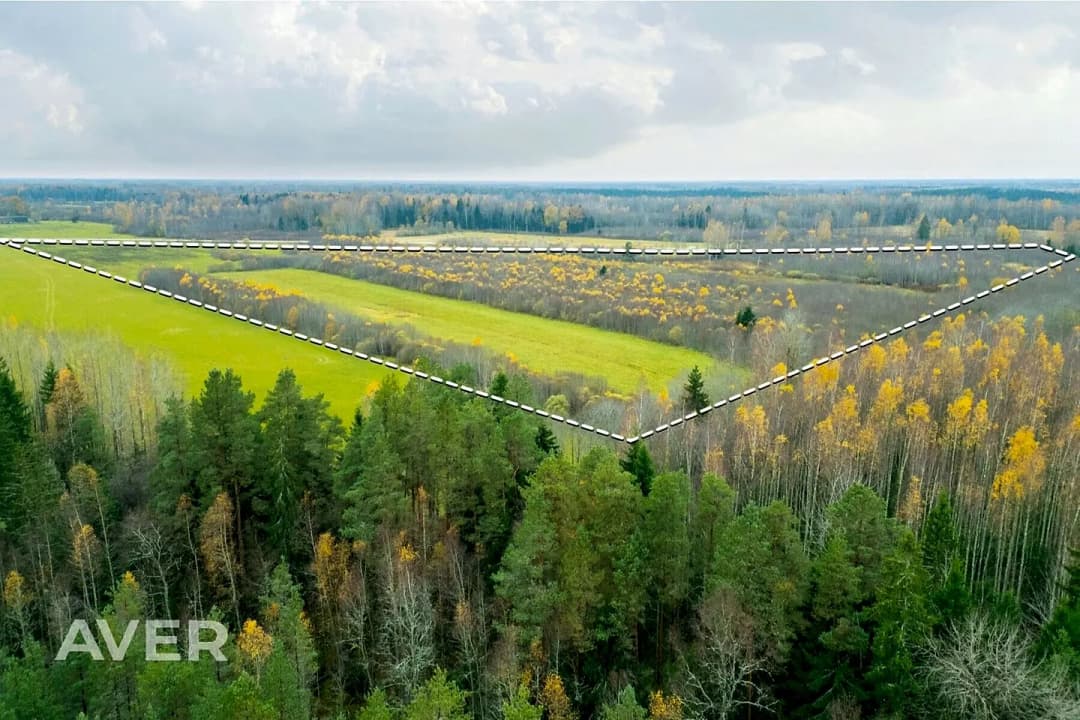 Zeme, 151800㎡ - Novadnieku pagasts, Sesile — bilde 2