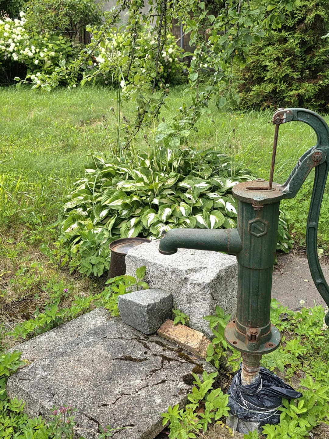 Dobeles iela, Saulkrastu pagasts, Saulkrastu novads — vēl bildes