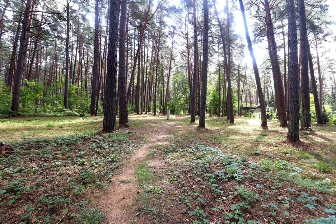Zeme, 929㎡ - Jūrmala, Bulduri — bilde 3