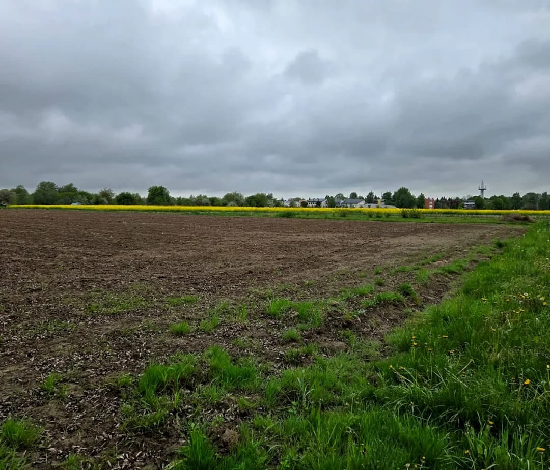 Zeme, 3096㎡ - Rundāles pagasts, Pilsrundāle — bilde 2
