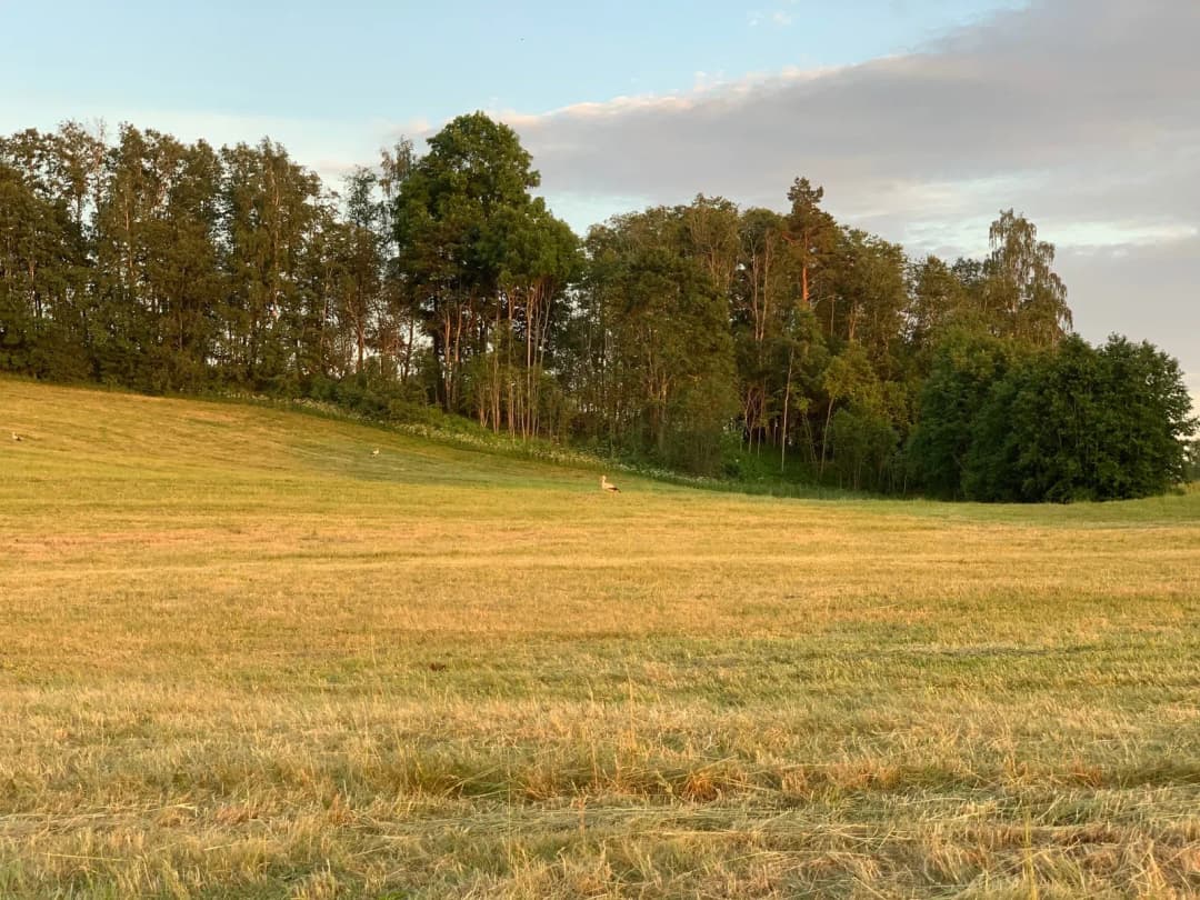 Alūksne, Alūksnes novads — bilde 2