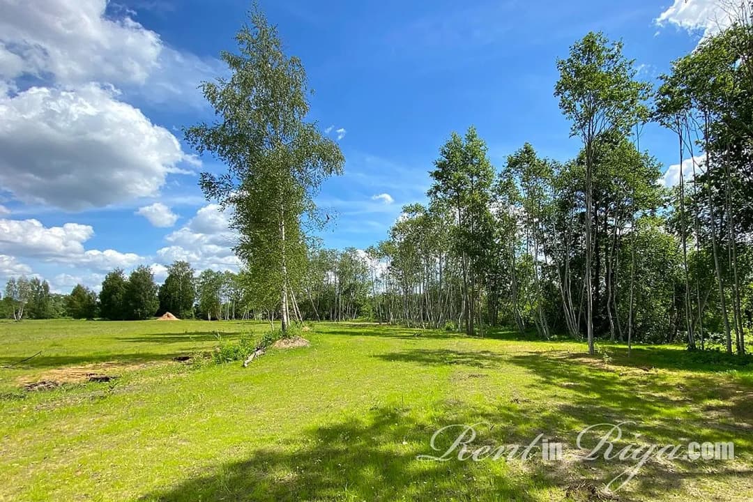 Zeme — Rīga (Berģi) — bilde 4