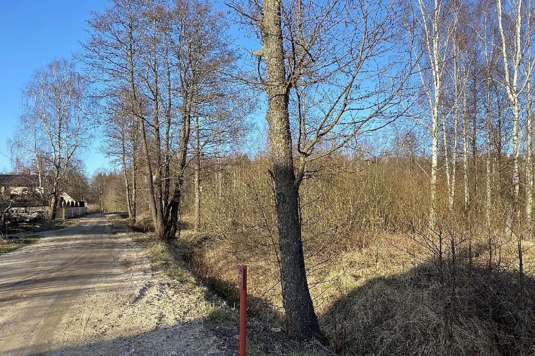 Saulkrastu pagasts, Saulkrastu novads — vēl bildes