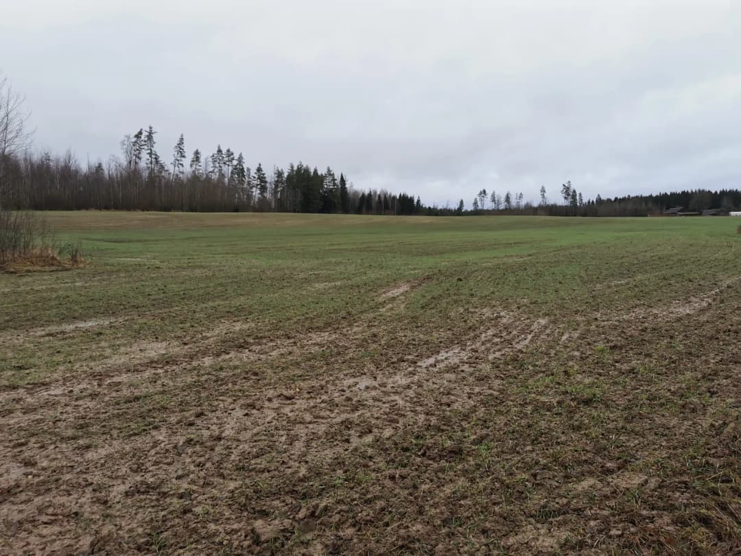 Lēdurgas pagasts, Siguldas novads — vēl bildes
