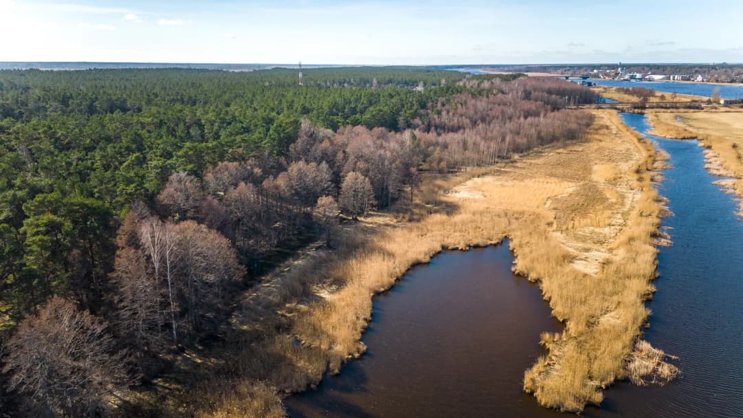 Mārupes iela, Priedaine, Jūrmala
