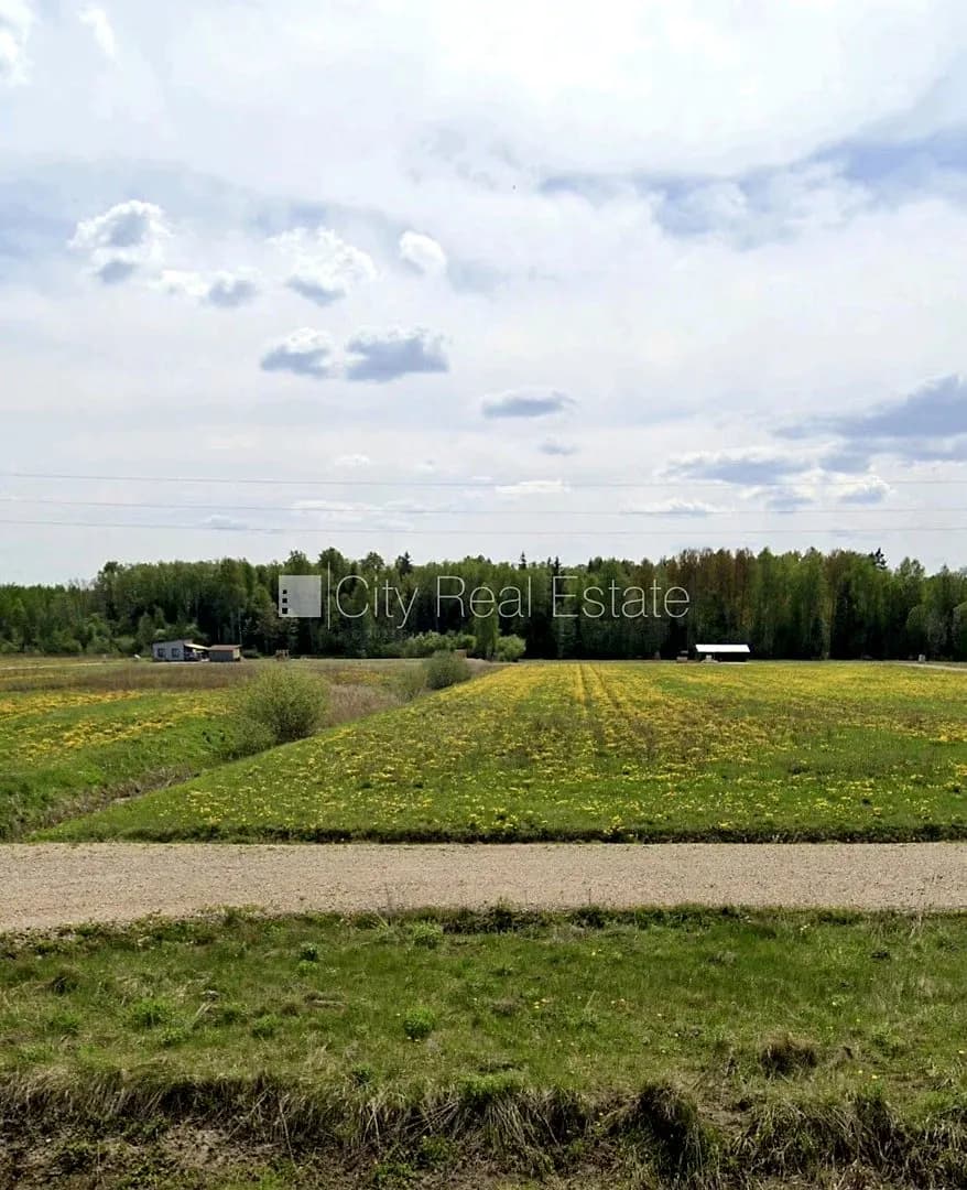 Ir elektrība, netālu no galvenā piebraucamā ceļa, nav apgrūtinājumu — bilde 3