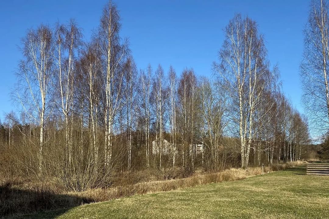 Saulkrastu pagasts, Saulkrastu novads