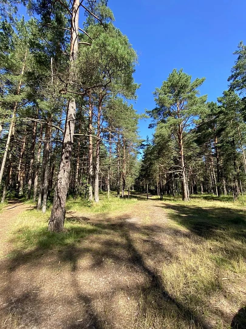 Zeme, 5510㎡ - Rīga, Mangaļsala — bilde 4
