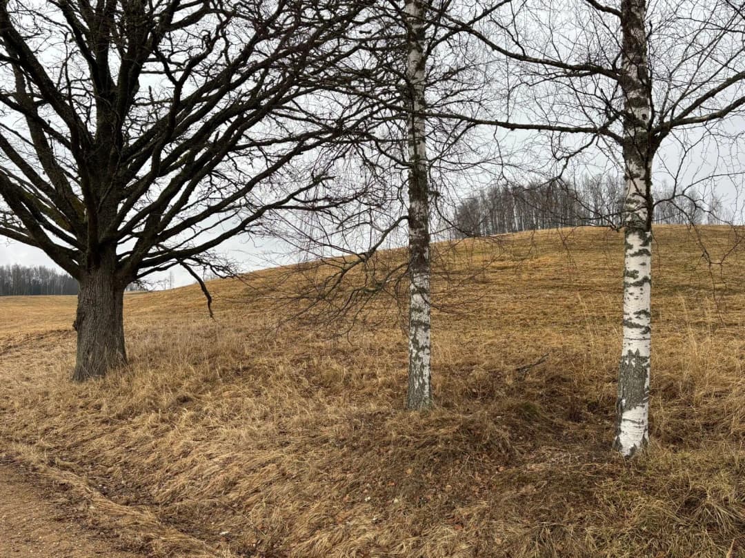 Alūksne, Alūksnes novads — bilde 4