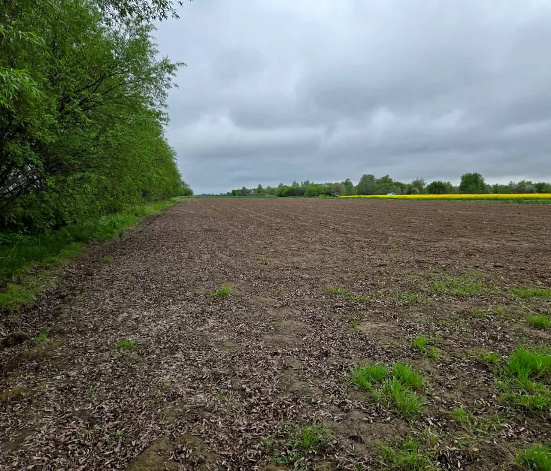 Zeme, 3096㎡ - Rundāles pagasts, Pilsrundāle