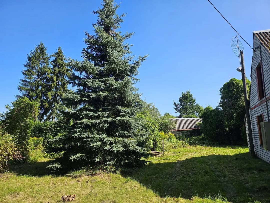 Zeme, 22860㎡ - Cenu pagasts, Brankas — bilde 3