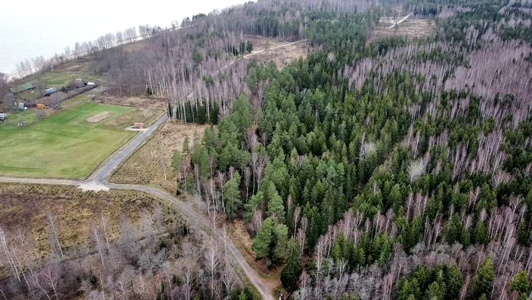 Skultes pagasts, Limbažu novads — bilde 3
