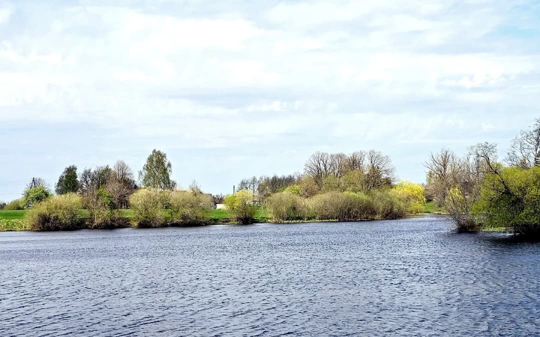 18-ist. Māja, 510㎡ - Ezeres pagasts, Ezere — vēl bildes