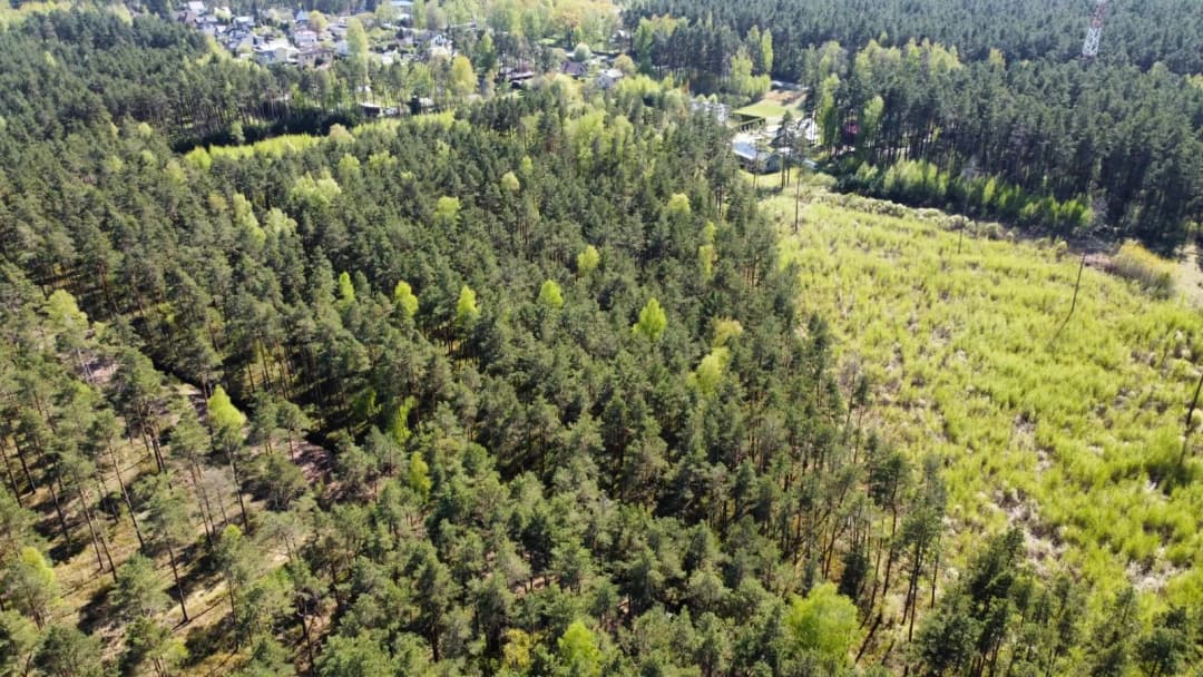 Mazā Lapu iela, Garkalnes pagasts, Ropažu novads — vēl bildes
