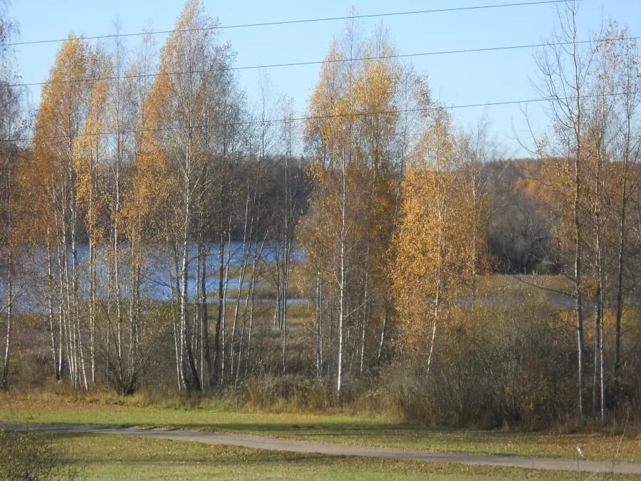 Kokneses pagasts, Aizkraukles novads
