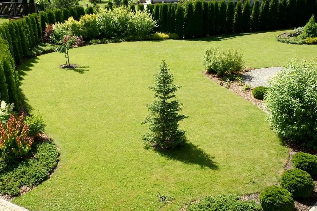5-ist. Māja, 450㎡ - Jūrmala, Melluži — vēl bildes