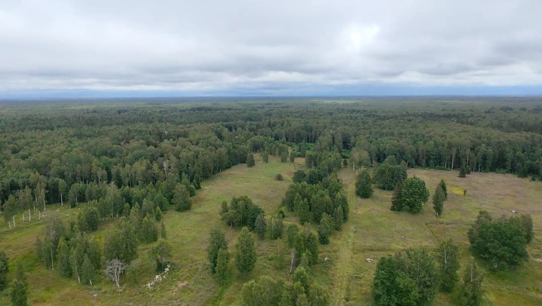 Liepupes pagasts, Limbažu novads — bilde 3