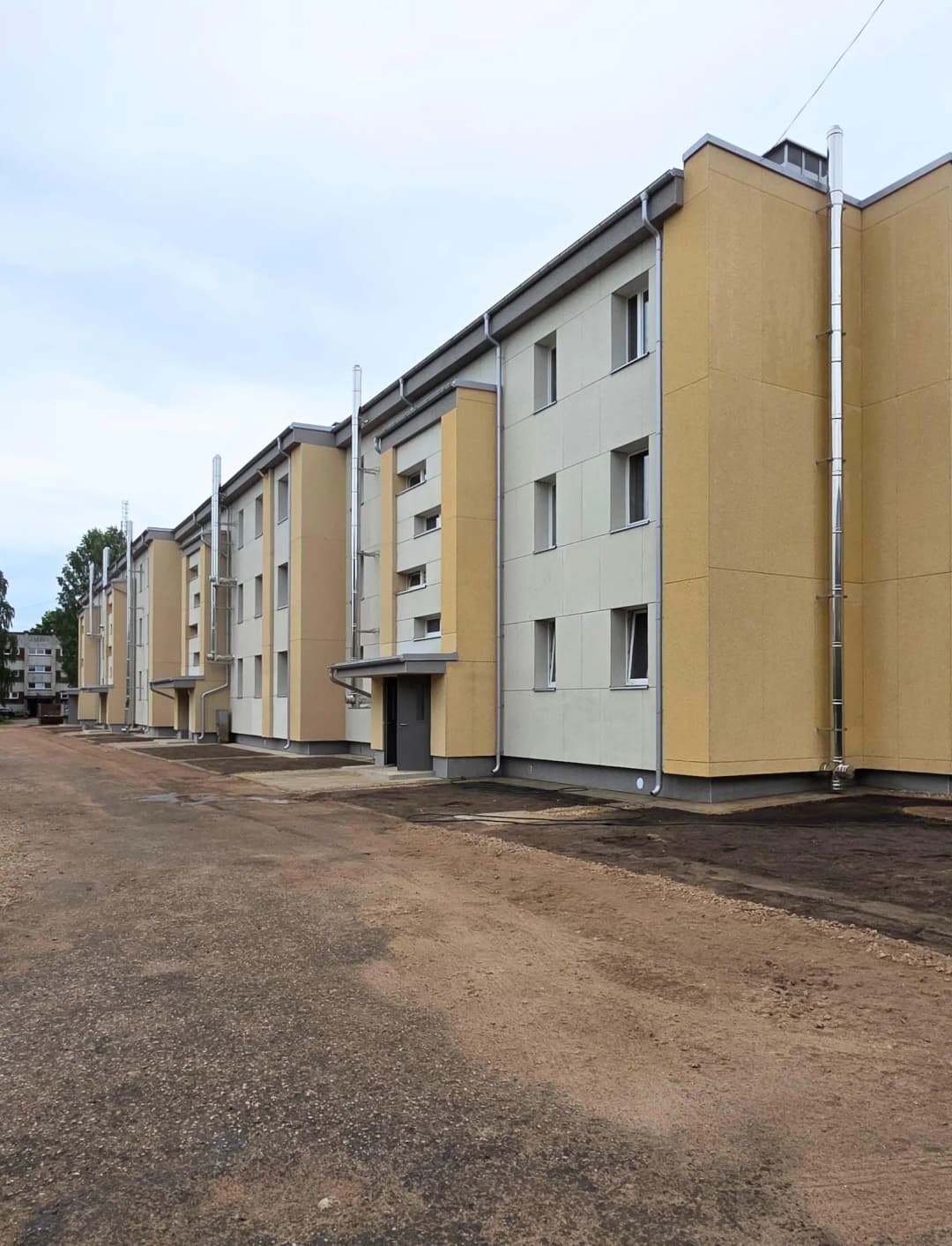 Birzes iela, Allažu pagasts, Siguldas novads — bilde 2