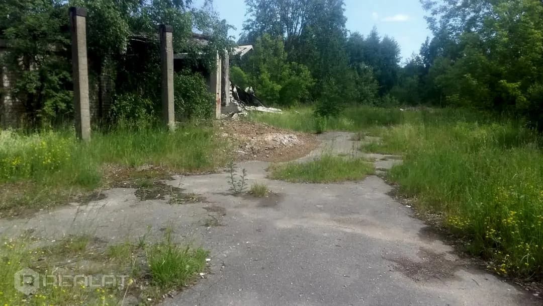 Zeme, 20323㎡ - Olaines novads, Olaine