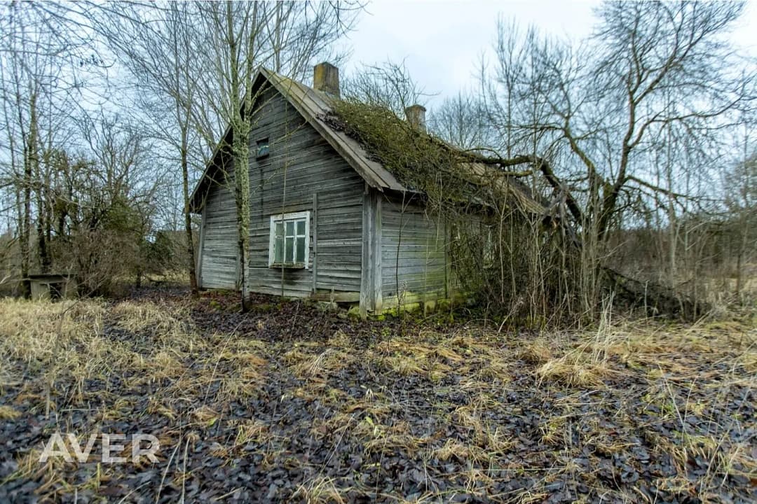 3-ist. Māja, 60㎡ - Jēkabpils novads, Variešu pagasts — bilde 3