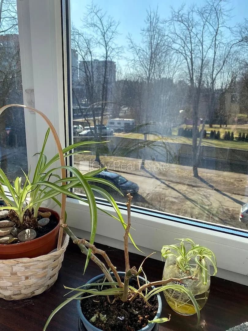 Tirzas iela, Centrs — vēl bildes