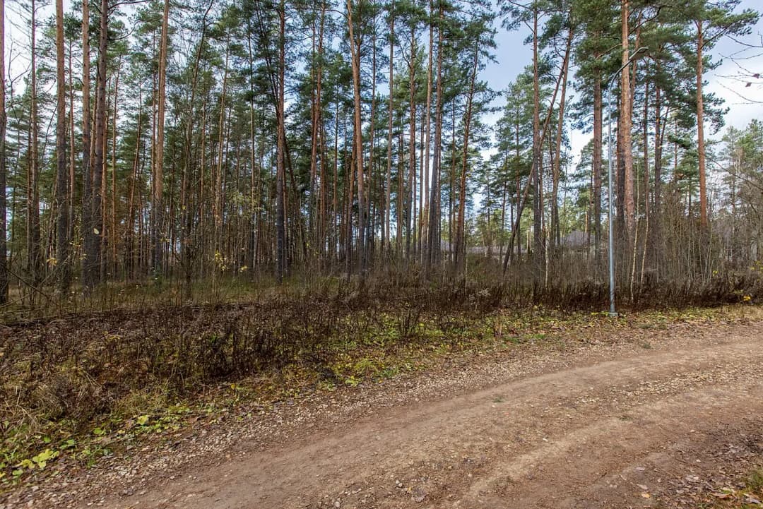Zeme, 2161㎡ - Rīga, Āgenskalns — bilde 4