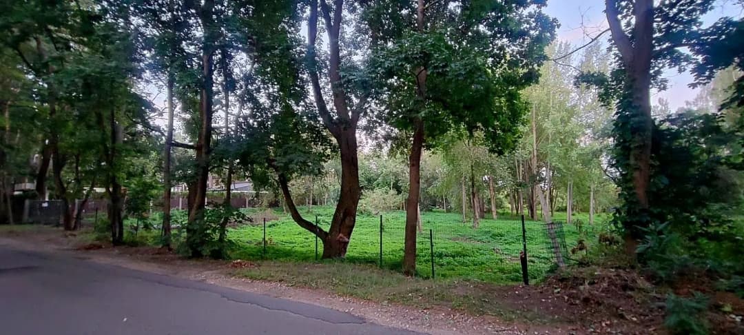 Mežaparks, Rīga — bilde 3