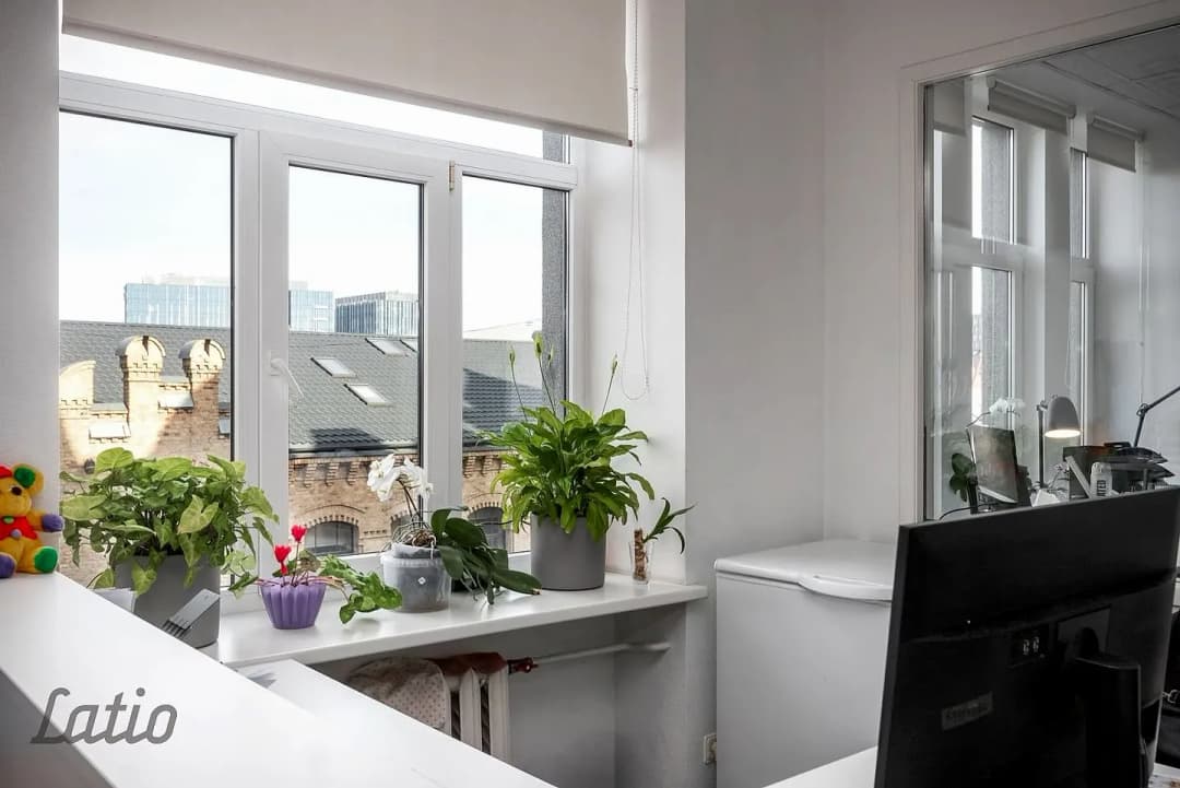 Telpas, 292㎡ - Rīga, Centrs — bilde 4