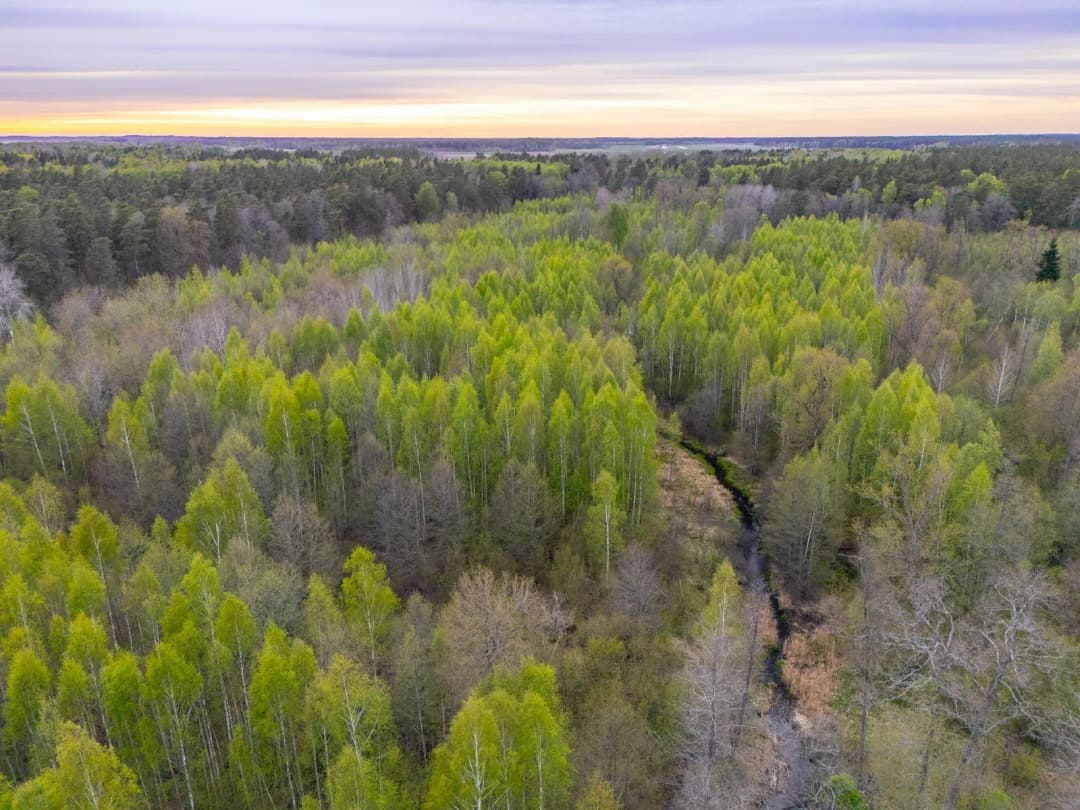 Stapriņi, Ādažu pagasts — bilde 3