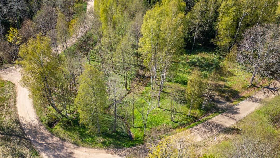 Saules iela, Liepupes pagasts, Limbažu novads — vēl bildes